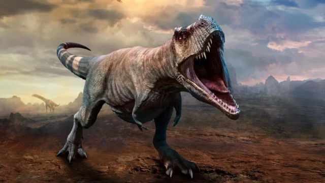 T. rex membutuhkan waktu 40 tahun untuk mencapai ukuran maksimalnya,