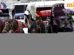 Video: Turis India meninggal karena luka setelah terlempar dari kereta kuda di Central Park New York