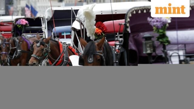 Video: Turis India meninggal karena luka setelah terlempar dari kereta