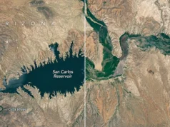 Waduk Arizona hampir lenyap setelah tumpukan salju yang runtuh memicu kematian ikan secara besar-besaran