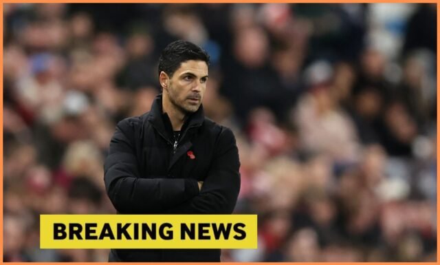 Arsenal sedang melakukan pembicaraan dengan Hamburg mengenai kesepakatan permanen untuk