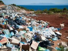 Bali meluncurkan proyek sampah menjadi energi – The Bali Times