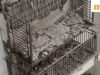 Balkon runtuh di masyarakat Gurugram yang mewah; warga menuntut “audit struktural” – Video
