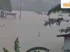 Banjir di Tiongkok: lebih dari 900 ular melarikan diri dari peternakan di Guangxi; pihak berwenang bergegas menangkap mereka