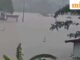 Banjir di Tiongkok: lebih dari 900 ular melarikan diri dari peternakan di Guangxi; pihak berwenang bergegas menangkap mereka