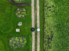 Chollipo Arboretum: Dimana tanaman adalah tuan sebenarnya