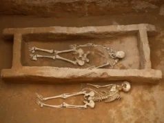 DNA kuno mengungkap rahasia mengerikan di kota Shimao yang berusia 4.000 tahun di Tiongkok