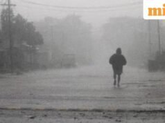El Nino bisa menjadi salah satu yang terkuat dalam sejarah dan berdampak pada India, Australia, dan Amerika Serikat, badan cuaca memperingatkan.