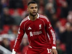 Gakpo dan Savinho di daftar Spurs