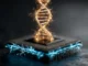 Ilmuwan Harvard mengubah chip silikon menjadi mesin tik DNA