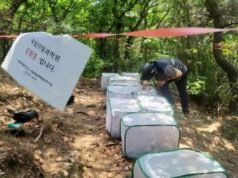 Korea beralih ke ekstrak tumbuhan untuk memerangi kawanan ‘kutu cinta’ di perkotaan