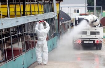 Korea mengidentifikasi wabah penyakit mulut dan kuku di peternakan di provinsi Gyeongsang Utara