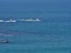 Mayat pelaut yang hilang ditemukan di Laut Timur (Angkatan Laut)