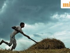 Musim hujan berlangsung lebih jauh di India bagian utara dan tengah; hujan diperkirakan akan meningkatkan penanaman kharif