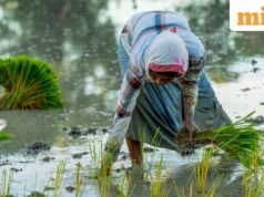 Musim hujan yang tersebar dapat meningkatkan inflasi dan merugikan perekonomian pedesaan, kata S&P