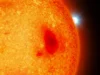 Para astronom baru saja menemukan empat bintang katai putih yang tersembunyi di dekat Bumi