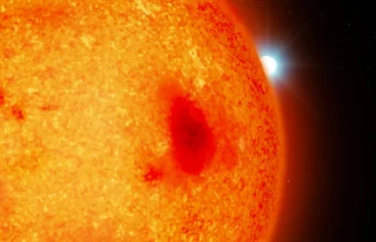 Para astronom baru saja menemukan empat bintang katai putih yang tersembunyi di dekat Bumi