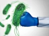 Para ilmuwan menghidupkan kembali antibiotik ampuh yang dapat dikalahkan oleh bakteri super