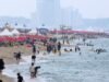 Penampakan hiu di lepas pantai timur meningkat hampir empat kali lipat saat perairan menghangat