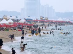 Penampakan hiu di lepas pantai timur meningkat hampir empat kali lipat saat perairan menghangat