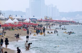 Penampakan hiu di lepas pantai timur meningkat hampir empat kali lipat saat perairan menghangat