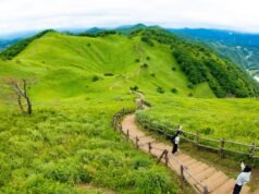 Viral ‘gunung telanjang’ menarik Gen Z Korea, turis asing untuk berwisata musim panas