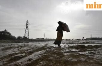 WMO memperingatkan bahwa El Niño yang kuat dapat meningkatkan suhu global – apa dampaknya?